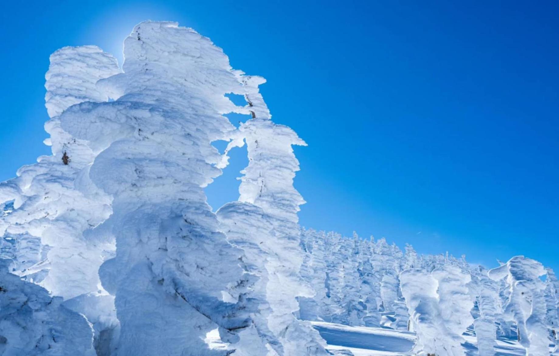 Snowfall Meteor 飛雪流星 Kaminoyama Eksteriør bilde