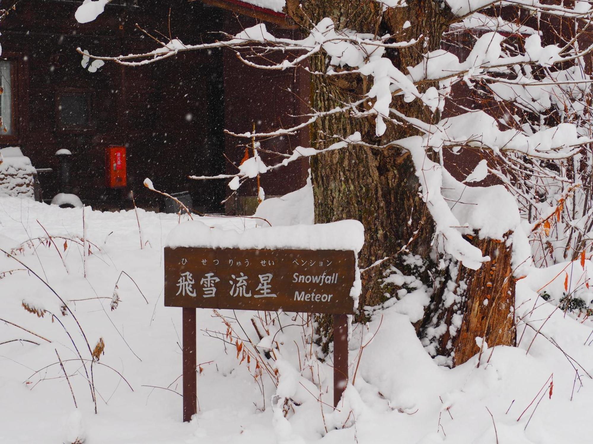 Snowfall Meteor 飛雪流星 Kaminoyama Eksteriør bilde